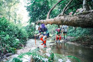 BIB: 
                            <button type="button" onclick="openModal(25441023)" class="btn btn-primary btn-sm float-right btn-popup" data-toggle="modal" data-target=".modal-high-quality">
                        <i class="fas fa-shopping-cart"></i> Add to Cart
                    </button>
                                            <button type="button" onclick="isThisMe(25441023, true)" class="btn btn-success btn-sm float-right btn-popup btn-isme hidden" data-toggle="tooltip" data-placement="bottom" title="นี่คือรูปของคุณใช่ไหม คลิกที่นี่เพื่อเอาเข้าอัลบั้ม">
                        <i class="fas fa-plus"></i> Add to album
                    </button>
                    <button type="button" onclick="isThisMe(25441023, false)" class="btn btn-warning btn-sm float-right btn-popup btn-isnotme hidden">
                        <i class="fas fa-ban"></i> Remove from album
                    </button>